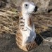 Wudimals® Meerkat