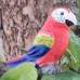 Wudimals® Red Parrot Wudimals® Red Parrot